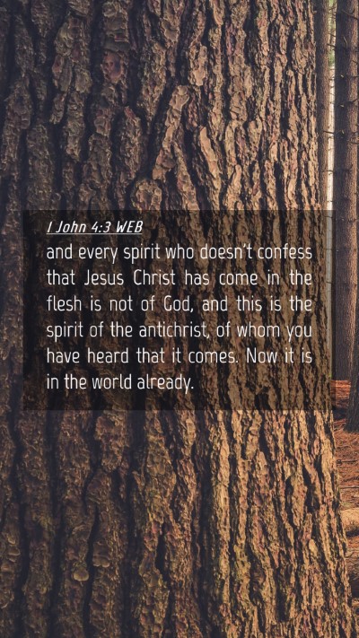 Picture 04 - 1 John 4:3 WEB Mobile Phone Wallpaper - and every spirit who doesn't confess that Jesus - Mobile Bible Verse Wallpaper