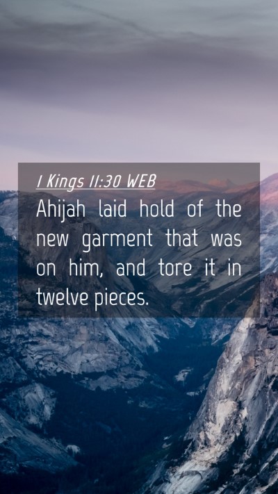 Picture 04 - 1 Kings 11:30 WEB Mobile Phone Wallpaper - Ahijah laid hold of the new garment that was on - Mobile Bible Verse Wallpaper