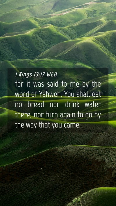 Picture 04 - 1 Kings 13:17 WEB Mobile Phone Wallpaper - for it was said to me by the word of Yahweh, You - Mobile Bible Verse Wallpaper