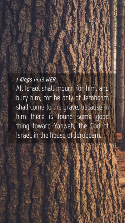 Picture 04 - 1 Kings 14:13 WEB Mobile Phone Wallpaper - All Israel shall mourn for him, and bury him; for - Mobile Bible Verse Wallpaper