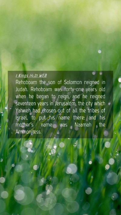 Picture 04 - 1 Kings 14:21 WEB Mobile Phone Wallpaper - Rehoboam the son of Solomon reigned in Judah. - Mobile Bible Verse Wallpaper