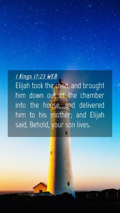 Picture 04 - 1 Kings 17:23 WEB Mobile Phone Wallpaper - Elijah took the child, and brought him down out - Mobile Bible Verse Wallpaper