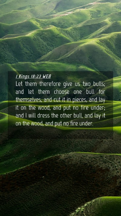 Picture 04 - 1 Kings 18:23 WEB Mobile Phone Wallpaper - Let them therefore give us two bulls; and let - Mobile Bible Verse Wallpaper