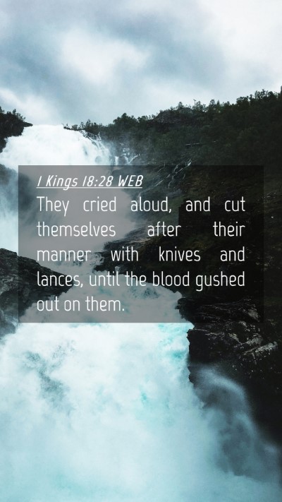 Picture 04 - 1 Kings 18:28 WEB Mobile Phone Wallpaper - They cried aloud, and cut themselves after their - Mobile Bible Verse Wallpaper