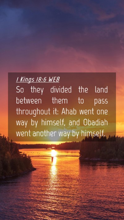 Picture 04 - 1 Kings 18:6 WEB Mobile Phone Wallpaper - So they divided the land between them to pass - Mobile Bible Verse Wallpaper
