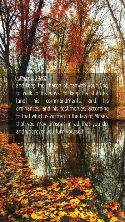 Picture 04 - 1 Kings 2:3 WEB Mobile Phone Wallpaper - and keep the charge of Yahweh your God, to walk - Mobile Bible Verse Wallpaper
