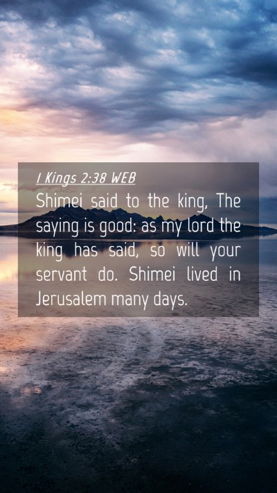 Picture 04 - 1 Kings 2:38 WEB Mobile Phone Wallpaper - Shimei said to the king, The saying is good: as - Mobile Bible Verse Wallpaper