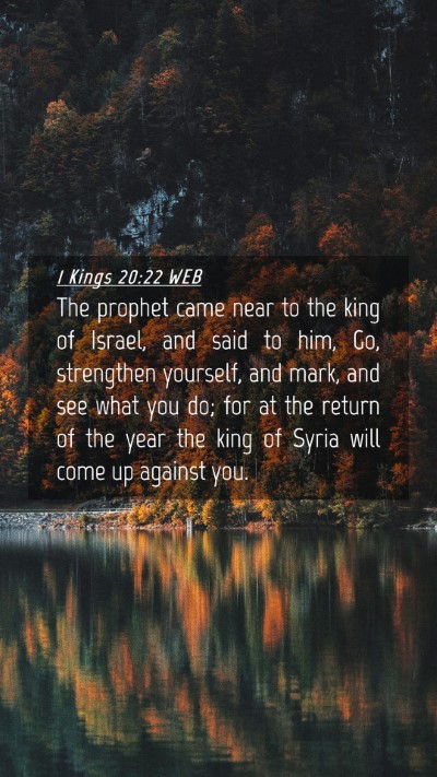 Picture 04 - 1 Kings 20:22 WEB Mobile Phone Wallpaper - The prophet came near to the king of Israel, and - Mobile Bible Verse Wallpaper