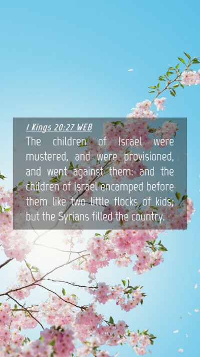 Picture 04 - 1 Kings 20:27 WEB Mobile Phone Wallpaper - The children of Israel were mustered, and were - Mobile Bible Verse Wallpaper