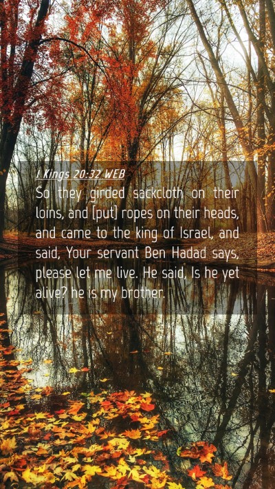 Picture 04 - 1 Kings 20:32 WEB Mobile Phone Wallpaper - So they girded sackcloth on their loins, and - Mobile Bible Verse Wallpaper