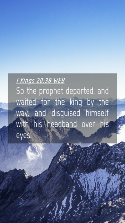 Picture 04 - 1 Kings 20:38 WEB Mobile Phone Wallpaper - So the prophet departed, and waited for the king - Mobile Bible Verse Wallpaper