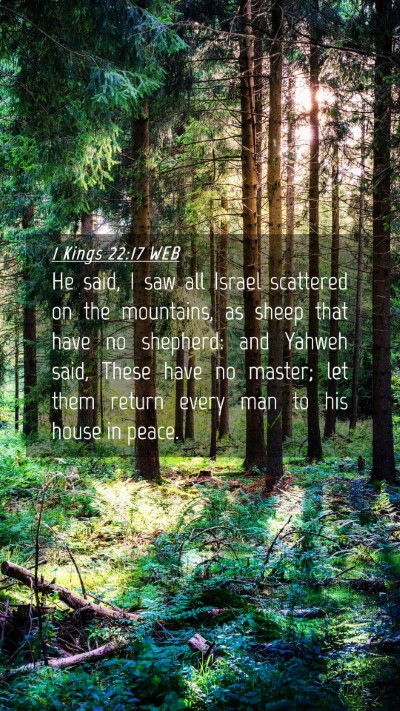 Picture 04 - 1 Kings 22:17 WEB Mobile Phone Wallpaper - He said, I saw all Israel scattered on the - Mobile Bible Verse Wallpaper