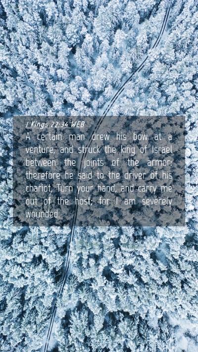 Picture 04 - 1 Kings 22:34 WEB Mobile Phone Wallpaper - A certain man drew his bow at a venture, and - Mobile Bible Verse Wallpaper