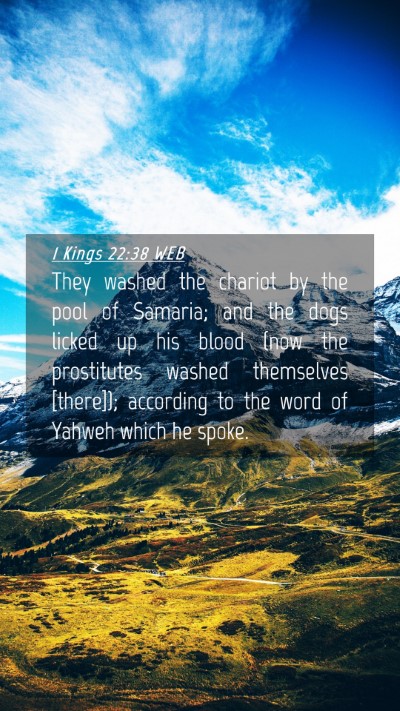 Picture 04 - 1 Kings 22:38 WEB Mobile Phone Wallpaper - They washed the chariot by the pool of Samaria; - Mobile Bible Verse Wallpaper