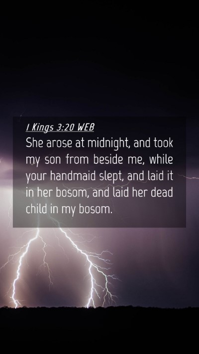 Picture 04 - 1 Kings 3:20 WEB Mobile Phone Wallpaper - She arose at midnight, and took my son from - Mobile Bible Verse Wallpaper