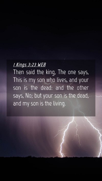 Picture 04 - 1 Kings 3:23 WEB Mobile Phone Wallpaper - Then said the king, The one says, This is my son - Mobile Bible Verse Wallpaper