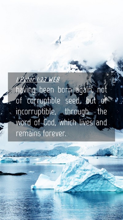 Picture 04 - 1 Peter 1:23 WEB Mobile Phone Wallpaper - having been born again, not of corruptible seed, - Mobile Bible Verse Wallpaper