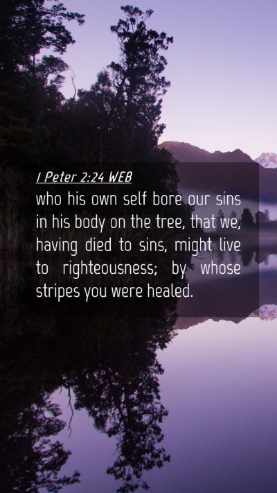 Picture 04 - 1 Peter 2:24 WEB Mobile Phone Wallpaper - who his own self bore our sins in his body on the - Mobile Bible Verse Wallpaper