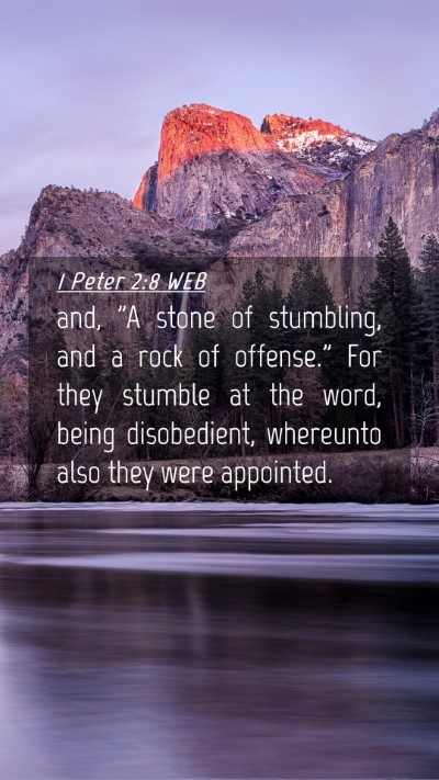 Picture 04 - 1 Peter 2:8 WEB Mobile Phone Wallpaper - and, 
