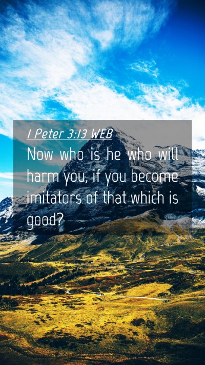 Picture 04 - 1 Peter 3:13 WEB Mobile Phone Wallpaper - Now who is he who will harm you, if you become - Mobile Bible Verse Wallpaper