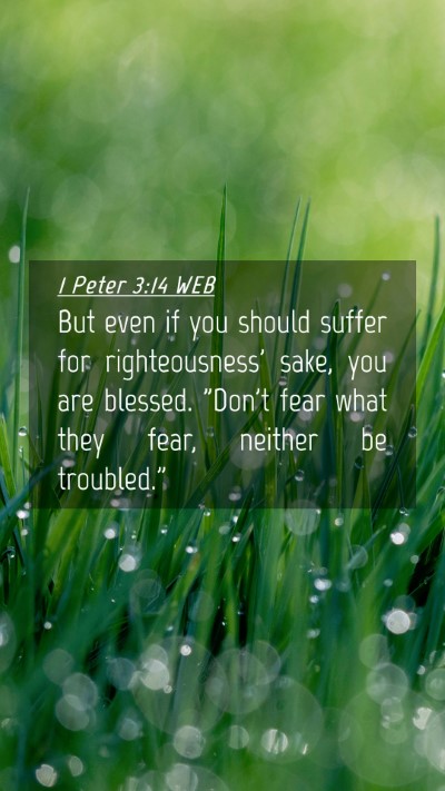 Picture 04 - 1 Peter 3:14 WEB Mobile Phone Wallpaper - But even if you should suffer for righteousness' - Mobile Bible Verse Wallpaper