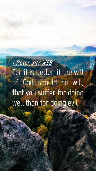 Picture 04 - 1 Peter 3:17 WEB Mobile Phone Wallpaper - For it is better, if the will of God should so - Mobile Bible Verse Wallpaper