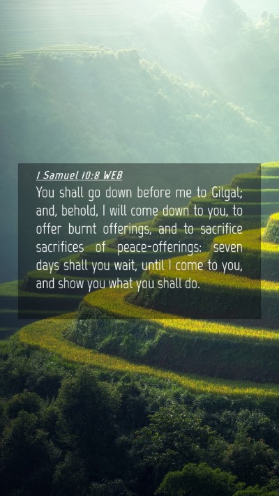 Picture 04 - 1 Samuel 10:8 WEB Mobile Phone Wallpaper - You shall go down before me to Gilgal; and, - Mobile Bible Verse Wallpaper