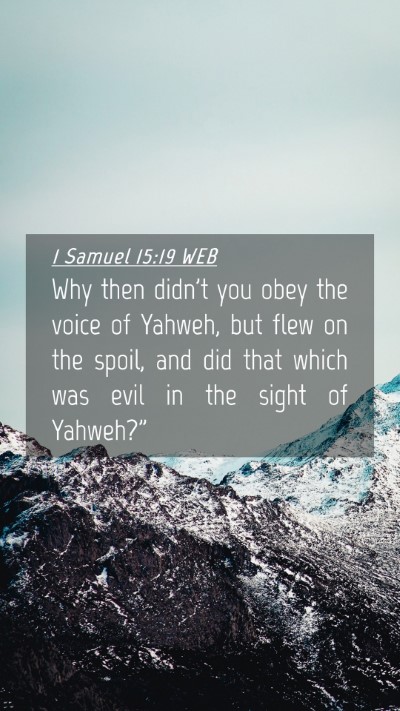 Picture 04 - 1 Samuel 15:19 WEB Mobile Phone Wallpaper - Why then didn't you obey the voice of Yahweh, but - Mobile Bible Verse Wallpaper