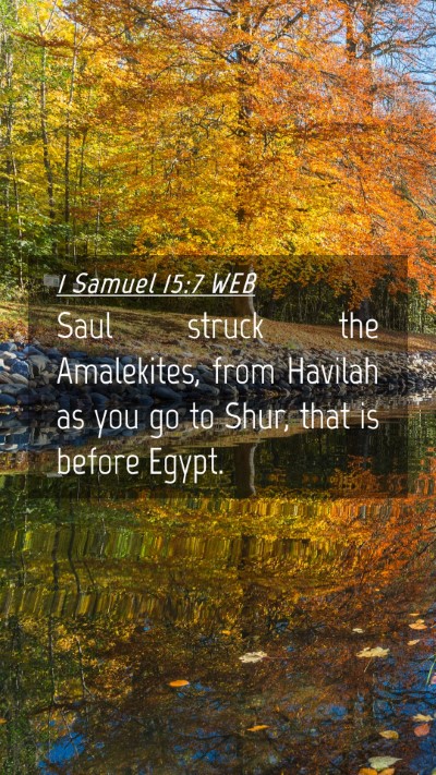 Picture 04 - 1 Samuel 15:7 WEB Mobile Phone Wallpaper - Saul struck the Amalekites, from Havilah as you - Mobile Bible Verse Wallpaper