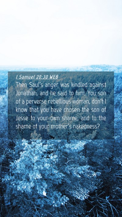 Picture 04 - 1 Samuel 20:30 WEB Mobile Phone Wallpaper - Then Saul's anger was kindled against Jonathan, - Mobile Bible Verse Wallpaper