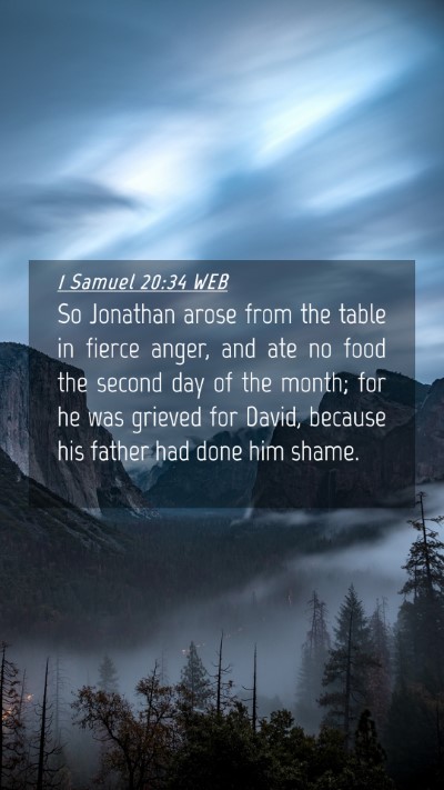 Picture 04 - 1 Samuel 20:34 WEB Mobile Phone Wallpaper - So Jonathan arose from the table in fierce anger, - Mobile Bible Verse Wallpaper