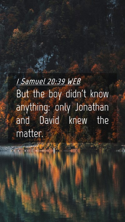 Picture 04 - 1 Samuel 20:39 WEB Mobile Phone Wallpaper - But the boy didn't know anything: only Jonathan - Mobile Bible Verse Wallpaper
