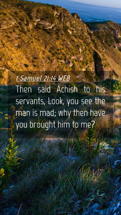 Picture 04 - 1 Samuel 21:14 WEB Mobile Phone Wallpaper - Then said Achish to his servants, Look, you see - Mobile Bible Verse Wallpaper