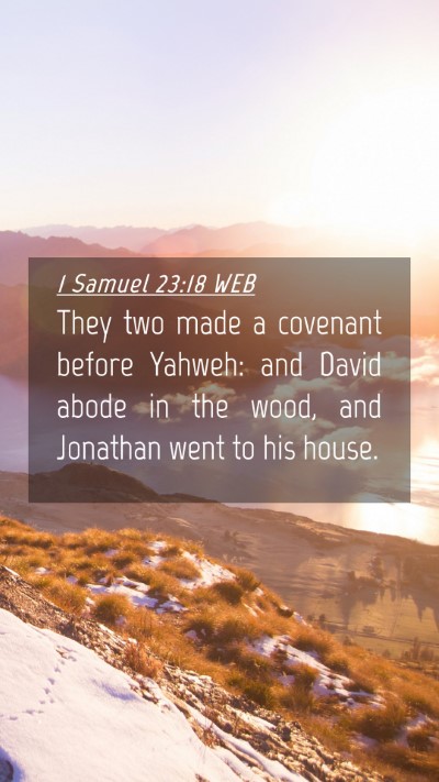 Picture 04 - 1 Samuel 23:18 WEB Mobile Phone Wallpaper - They two made a covenant before Yahweh: and David - Mobile Bible Verse Wallpaper
