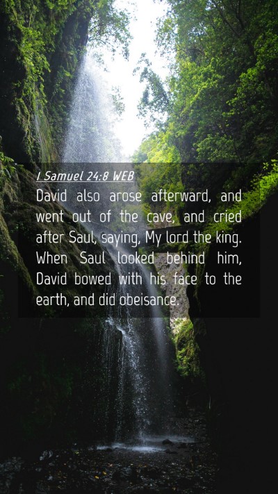 Picture 04 - 1 Samuel 24:8 WEB Mobile Phone Wallpaper - David also arose afterward, and went out of the - Mobile Bible Verse Wallpaper