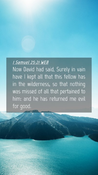 Picture 04 - 1 Samuel 25:21 WEB Mobile Phone Wallpaper - Now David had said, Surely in vain have I kept - Mobile Bible Verse Wallpaper