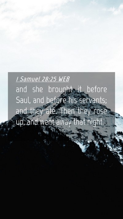 Picture 04 - 1 Samuel 28:25 WEB Mobile Phone Wallpaper - and she brought it before Saul, and before his - Mobile Bible Verse Wallpaper