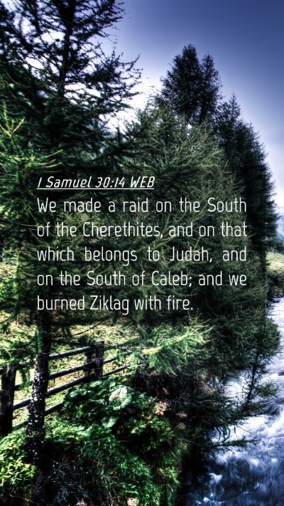Picture 04 - 1 Samuel 30:14 WEB Mobile Phone Wallpaper - We made a raid on the South of the Cherethites, - Mobile Bible Verse Wallpaper