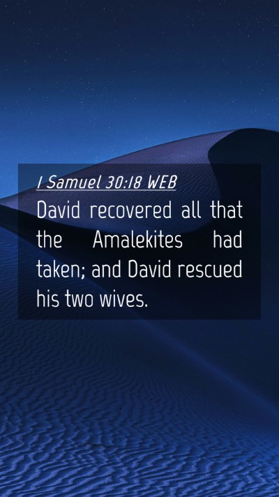 Picture 04 - 1 Samuel 30:18 WEB Mobile Phone Wallpaper - David recovered all that the Amalekites had - Mobile Bible Verse Wallpaper