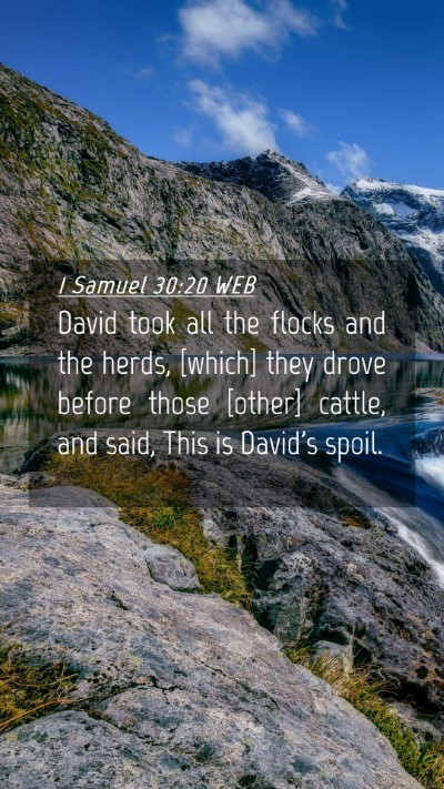 Picture 04 - 1 Samuel 30:20 WEB Mobile Phone Wallpaper - David took all the flocks and the herds, [which] - Mobile Bible Verse Wallpaper