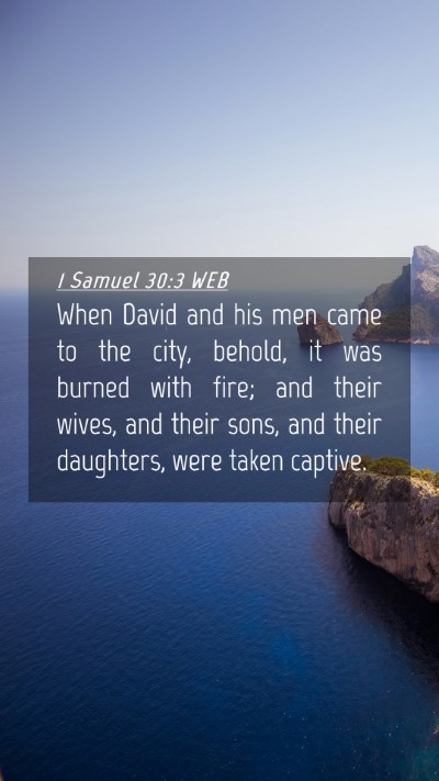 Picture 04 - 1 Samuel 30:3 WEB Mobile Phone Wallpaper - When David and his men came to the city, behold, - Mobile Bible Verse Wallpaper