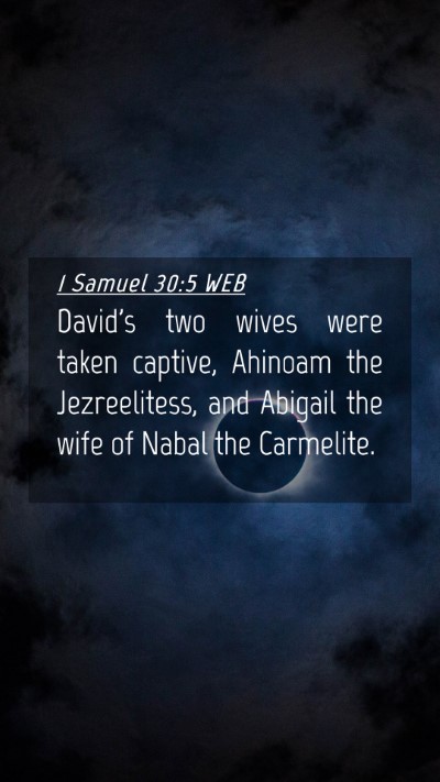 Picture 04 - 1 Samuel 30:5 WEB Mobile Phone Wallpaper - David's two wives were taken captive, Ahinoam the - Mobile Bible Verse Wallpaper