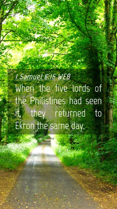 Picture 04 - 1 Samuel 6:16 WEB Mobile Phone Wallpaper - When the five lords of the Philistines had seen - Mobile Bible Verse Wallpaper