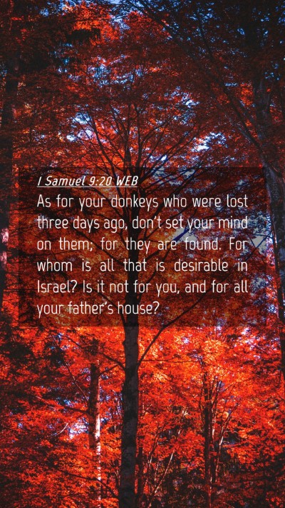 Picture 04 - 1 Samuel 9:20 WEB Mobile Phone Wallpaper - As for your donkeys who were lost three days ago, - Mobile Bible Verse Wallpaper