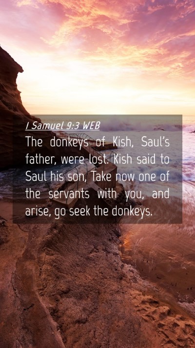 Picture 04 - 1 Samuel 9:3 WEB Mobile Phone Wallpaper - The donkeys of Kish, Saul's father, were lost. - Mobile Bible Verse Wallpaper