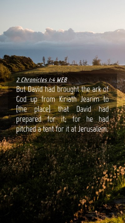 Picture 04 - 2 Chronicles 1:4 WEB Mobile Phone Wallpaper - But David had brought the ark of God up from - Mobile Bible Verse Wallpaper