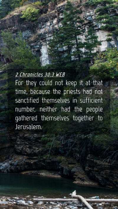 Picture 04 - 2 Chronicles 30:3 WEB Mobile Phone Wallpaper - For they could not keep it at that time, because - Mobile Bible Verse Wallpaper