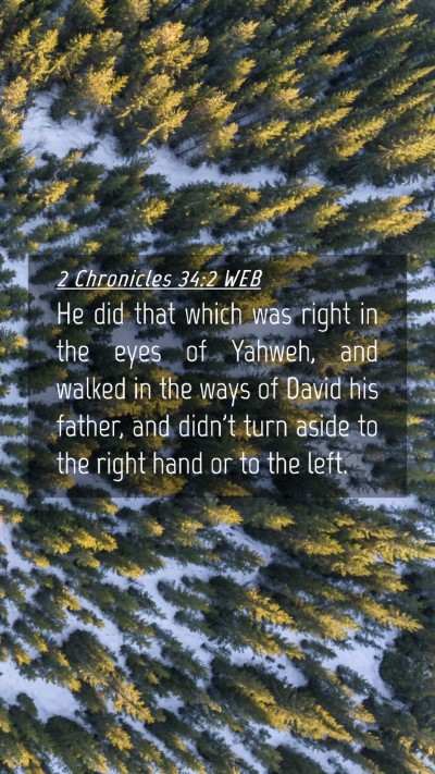 Picture 04 - 2 Chronicles 34:2 WEB Mobile Phone Wallpaper - He did that which was right in the eyes of - Mobile Bible Verse Wallpaper