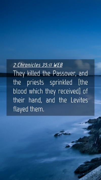 Picture 04 - 2 Chronicles 35:11 WEB Mobile Phone Wallpaper - They killed the Passover, and the priests - Mobile Bible Verse Wallpaper