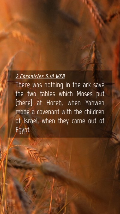 Picture 04 - 2 Chronicles 5:10 WEB Mobile Phone Wallpaper - There was nothing in the ark save the two tables - Mobile Bible Verse Wallpaper